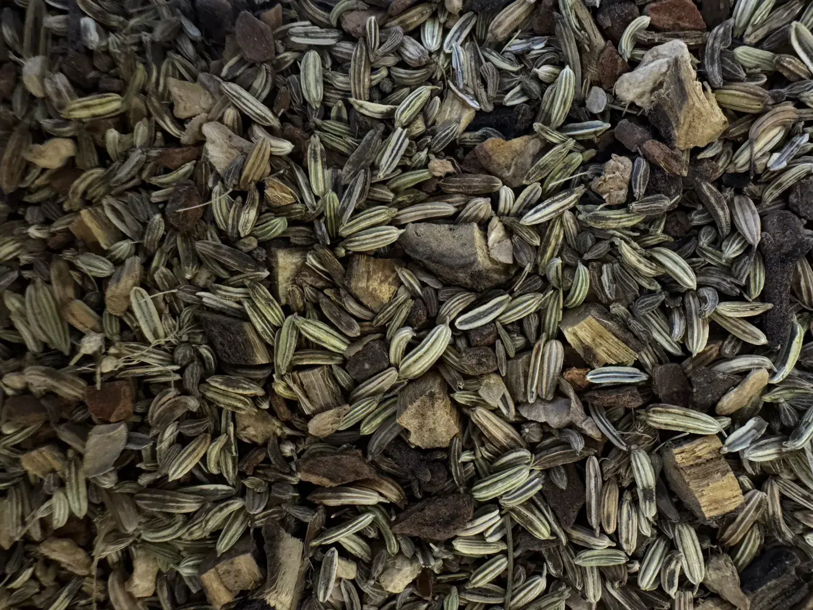 Chaï Latte bio