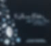 21stcenturygemsfront.jpeg
