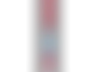 Swiss Water Dynamizer Gerät