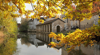 chablis_automne_feuillesmortes_lavoir_serein-1.jpg