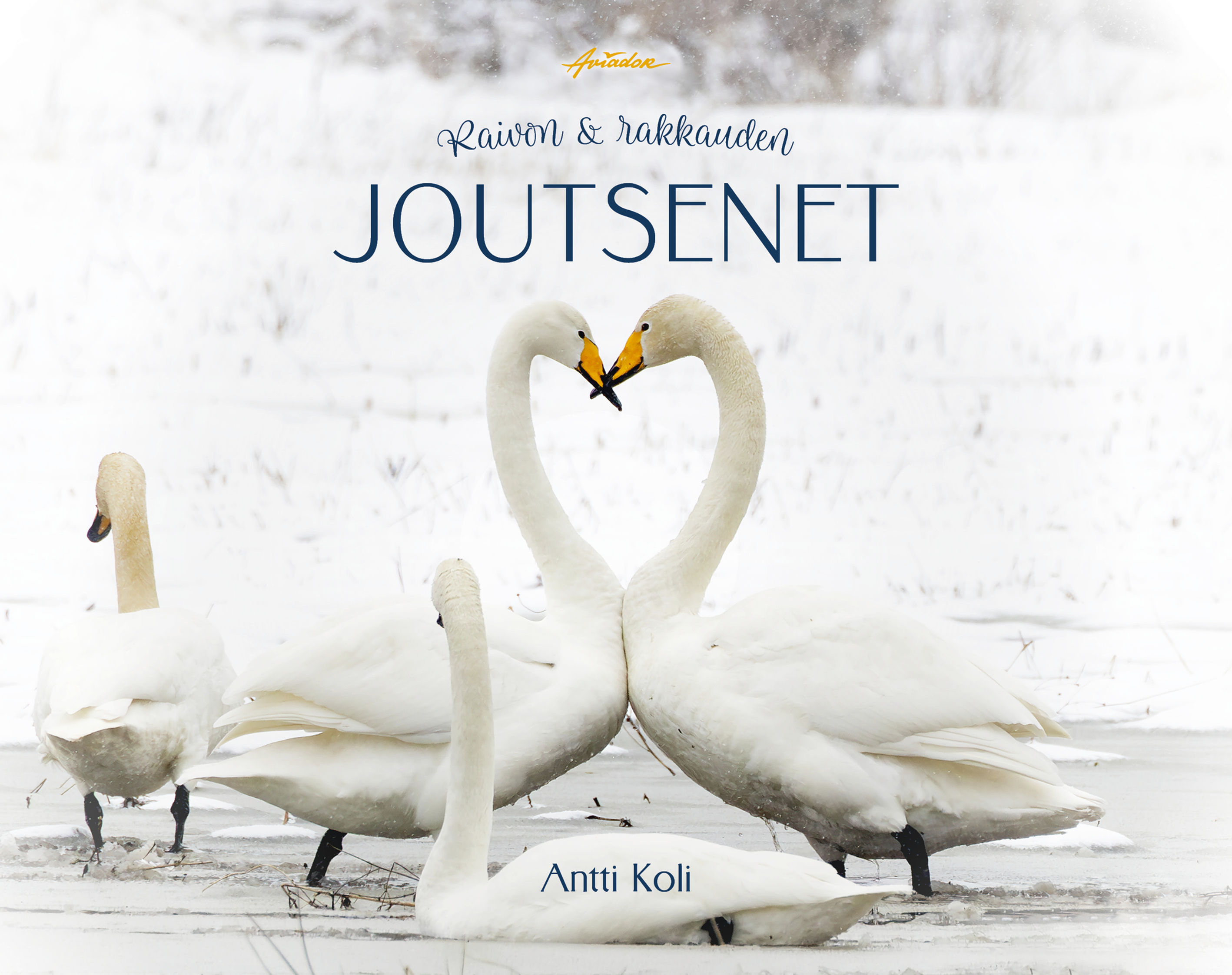 Raivon ja rakkauden joutsenet