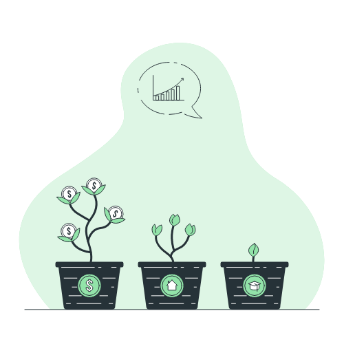 Investor growth