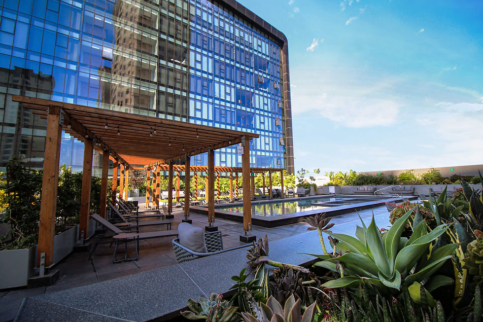 Hotels