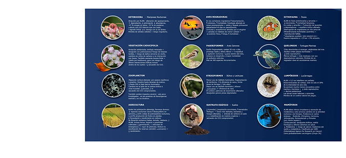 FONDO + 10000a +28 AUSSCHNITT_edited_edited_edited_edited_edited_edited_edited_edited_edi