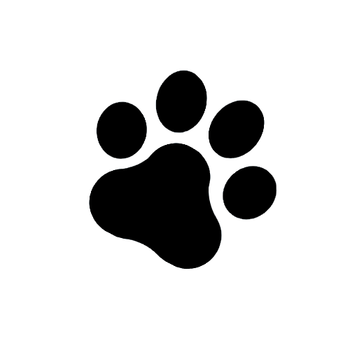 1_pet terapy_edited.png