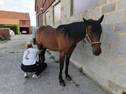 att.Ak6t6j4EI3tGUq2xyTSwhdiA_AUWh0oWvg4kswPlw2g