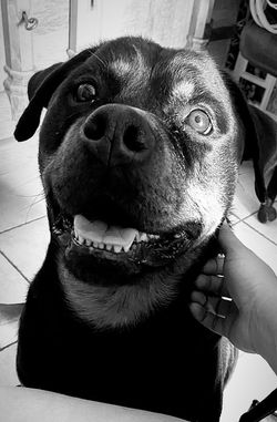 thumbnail_B7C6E62E-C5C0-44D0-895A-3FD5BD79DB31