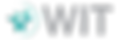 WiT logo.webp