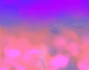 IMG_2162.TRIM_2.gif