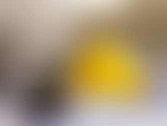 A judge’s gavel on construction plans beside a yellow hard hat.