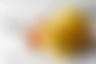 The Ultimate Top-Rated Construction Guide