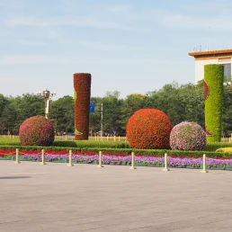 Colorful Flower Display in Tiananmen in Beijing