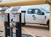 5P7A3118.jpg