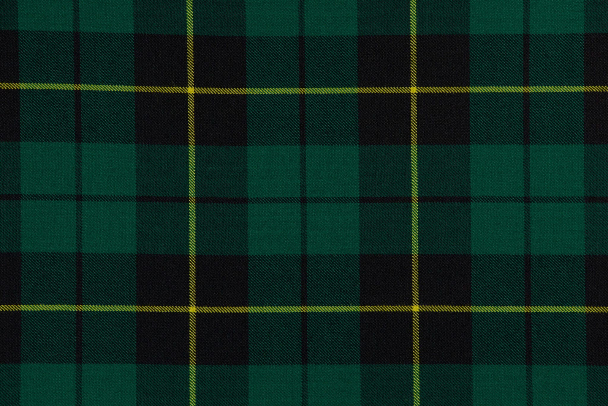 Wallace Hunting Ancient Tartan Hoodie - Tree Of Life