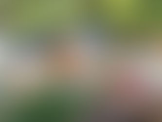 Hungry For the Holidays: Food Insecurity in North Carolina