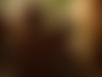 The 12 Days of Christmas Challenge