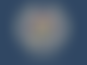 WAMY Donors Travel Around the World in One Day