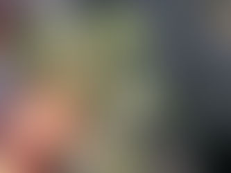 TA Tidbits # 70 Micro Superbloom in the Tortolita Preserve