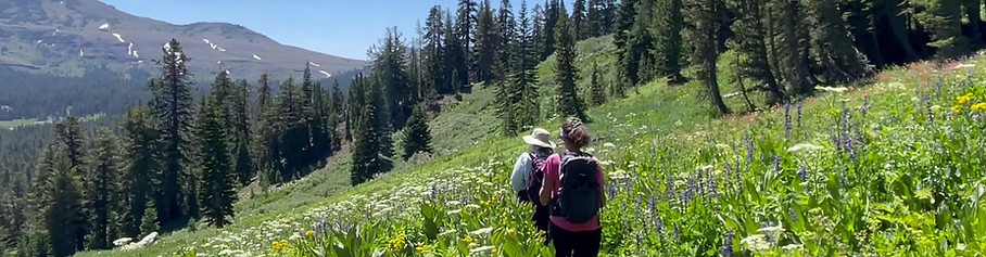 IMG_7913 - frame at 0m0s.jpeg