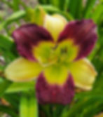 Don Giovanni (Conway, 2018)