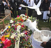 release white doves from a basket for a funeral Newport