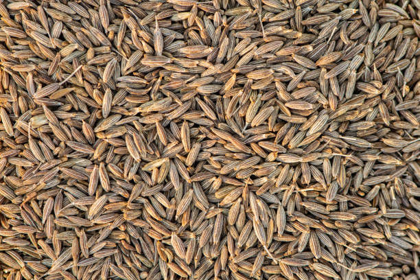 Thumbnail: Organics Cumin Whole 100 gm (Pack of 4) - Organic Jeera