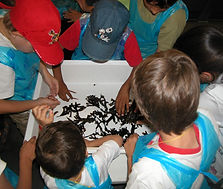 mar na escola