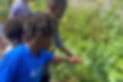 Screen Shot 2024-07-26 at 1.58_edited.jpg