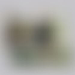 Neudauberg, Südburgenland: Arbeiten, wo andere Urlaub machen!