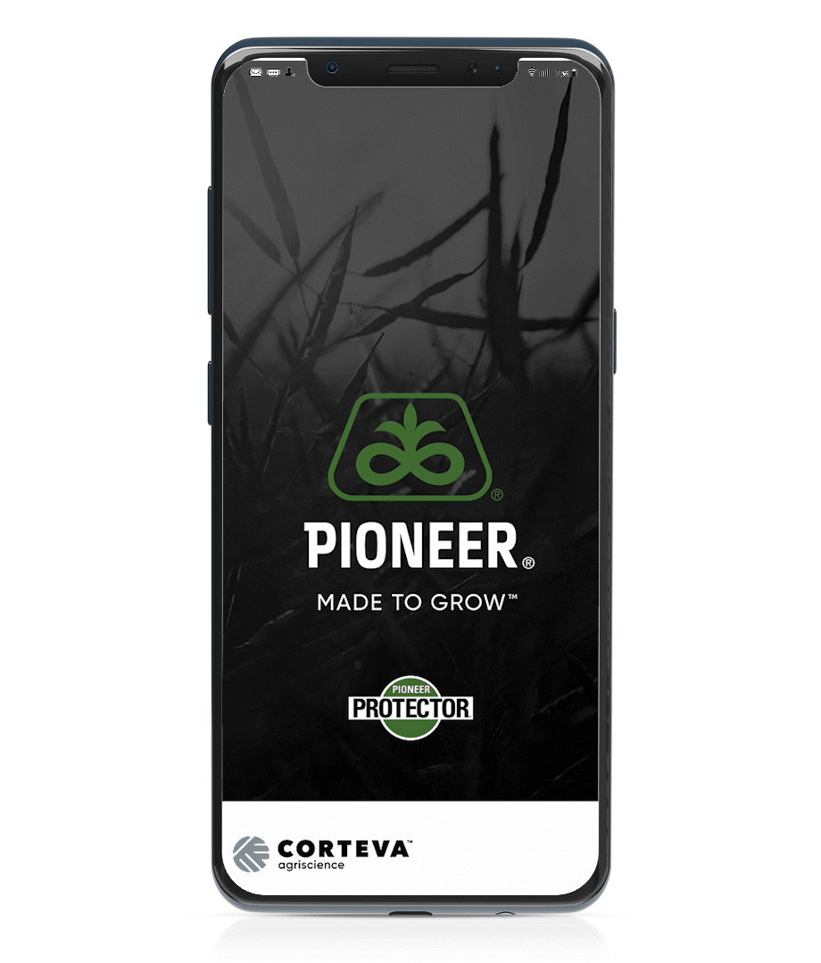 Pioneer-Digital-Canola.gif