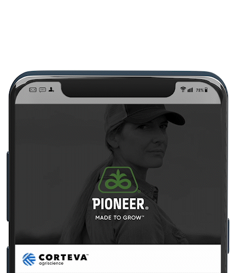 Pioneer-Digital-Woman.gif