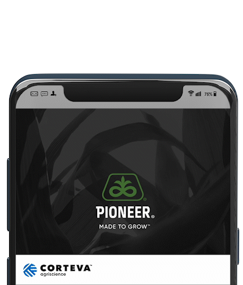 Pioneer-Digital-Corn.gif