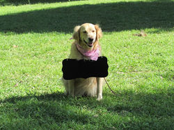 17799223_1928165977412922_1451684832388405732_n