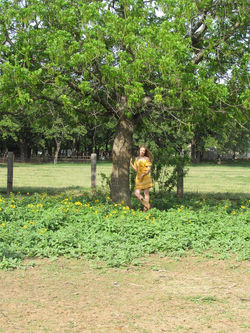 18034077_1933747620188091_4958880350426338827_n