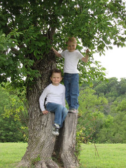 18011067_1933694543526732_3037582129575810717_n