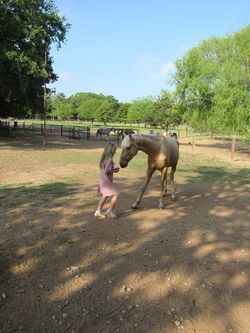 17951853_1933742250188628_3983461194973156215_n