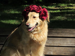 17799174_1928166547412865_5707901960956795124_n