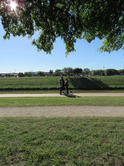 17523220_1928133777416142_7970475834067000126_n