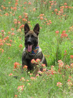 18010870_1933773223518864_911357625816466259_n