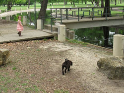 17634309_1927018547527665_6511805946717937115_n