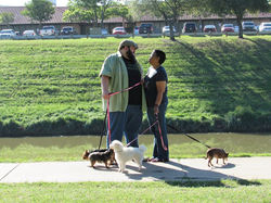 17634649_1928133774082809_8251395110226823786_n