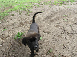 17796181_1927004424195744_3480944234809529524_n