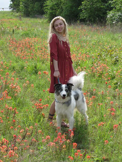 18033997_1933765033519683_4203118814182436385_n