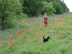 17904457_1933757823520404_3215610036541551011_n