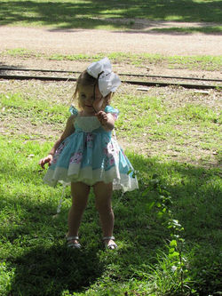 17759691_1928183824077804_8068871159573602062_n