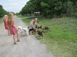 18010305_1933771290185724_6200394114753016823_n