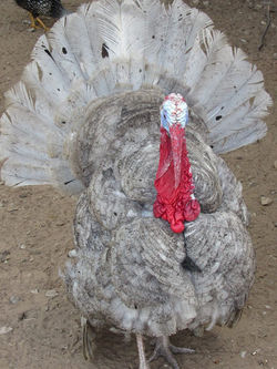 17951979_1933740490188804_749264245112963763_n