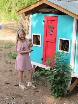 17952510_1933736746855845_8765845206636812577_n