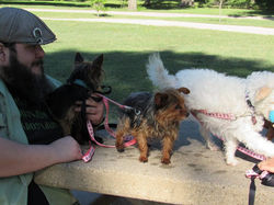 17800175_1928133020749551_3899285741100752521_n