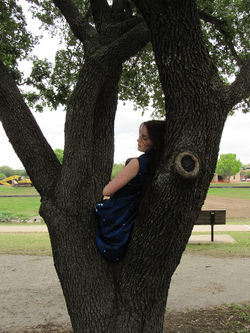 18033456_1933246180238235_9038690056212773586_n